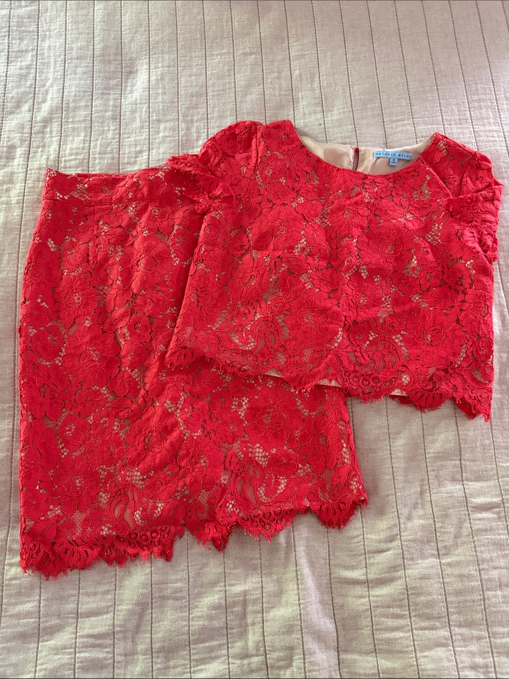 ANTONIO MELANI Scarlet Lace Crop Top & Skirt Set 6 EUC